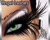[M] Add-On Angel Lash 1