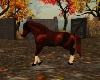 RED SONNY RIDING HORSE