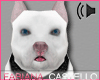 [FC] White Pitbull Pet 3