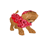 Red bandana puppy