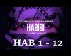 DJ Gimi-Ox Habibi