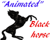 Animated black horse 
