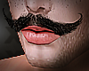 X▬ FR mustache
