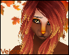 Maple | Hair