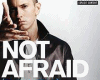 Eminem  Not Afraid