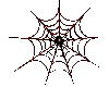 Spider/Web