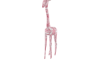 Toy | Pink Giraffe