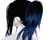 blue black ponytail