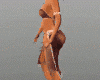 ** Anim Dance Avi