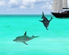 P9)Animated Dolphins