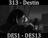 313 Destin.