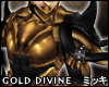 ! Golden Divine Pauldron