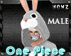 One Piece Bunny Male*