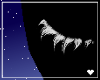 兎. Black Hole | Lash