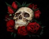 Celtic Skull with Roses