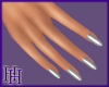 [HH] Silver  Nails
