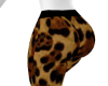 Hb. Bal Cheetah 2/2