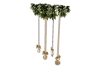 Hanging Xmas Ornaments