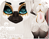 [Pets] Evy Furry | Female