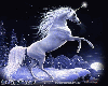 Ani Winter Unicorn2 XL