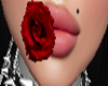 Mouth red rose