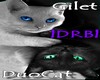 |DRB| Gilet Duo Cat