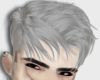 𝔎* Grey Hair (M)