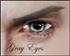 Gray Eyes