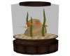 CLOWN FISH AQUARIUM