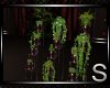 !!Soulmate Plant 5