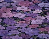 flores linds hf
