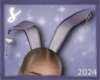 𝓼* bunny ears purple