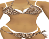 bikini leopard