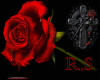 R.S rose globe