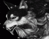 Wolf Light bundle
