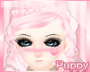 [Pup] Princess Blush