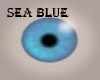 sea blue eyes 