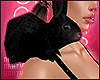 Bunny | Black