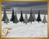 F: Pine Trees Snow