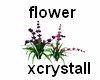 (cry) flowers beautiful