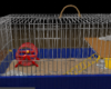 Hamster's Cage