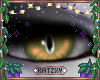 ꨄBruce Eyesꨄ