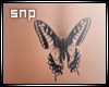 snp,Tatto,Butterfly