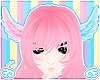 usahana head wings ★