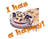 happy gecko