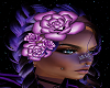 Purple (L) Head Roses