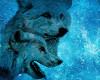 *A* Arctic Wolf Castle
