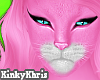 Pink Kitty - Suit