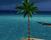 Animated Palm Tree