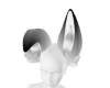 Darkwhite dog ears